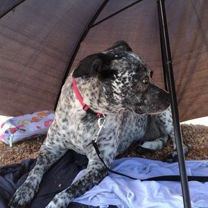 Meet your Posher, Travis